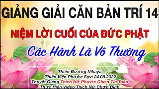 14. CÁC HÀNH LÀ VÔ THƯỜNG - Chơn Tín Toàn