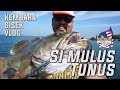 Sisek Malaya Vlog : Tunus Island Invasion (coral Trout)