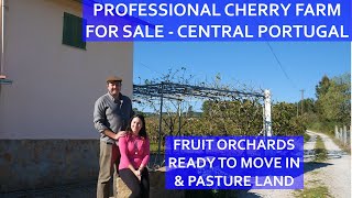 PROFESSIONAL CHERRY FARM FOR SALE - READY TO MOVE IN HOUSE - CENTRAL PORTUGAL CHEAP REAL ESTATE