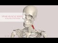 Scalenus Anterior: Spine Muscle Series, Part 18 (3D Animation)