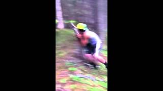 beasting tree stumps