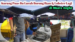 BU LURAH BELANJA IKAN DAN NGUBEK LOBSTER SULTAN DI MUARA ANGKE !!! PENASARAN YA...