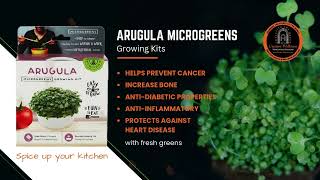 Arugula Micro greens Growing Kit | Creator Wellness