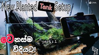 වෙනස්ම විදියට,අලුත් සෙටප් එක,In a different way ,New planted tank setup in 2023, part 1