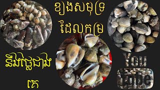 ខ្យងសមុទ្រដែលកម្រ នឹង ជិតផុតពូជ / Rare and endangered snails