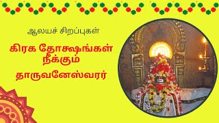 கிரக தோக்ஷங்கள் நீக்கும் - திருப்பராய்த்துறை (தாருவனேஸ்வரர்) Thirupparaithurai