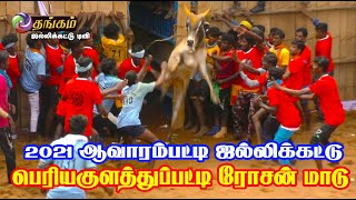 2021 திருச்சி (மா) ஆவரம்பட்டி ஜல்லிக்கட்டு |பெரியகுளத்துப்பட்டி ரோசன்மாடு | THANGAM JALLIKATTU TV