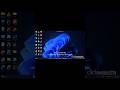how to install python modules|| using command prompt in windows||python tutorial||