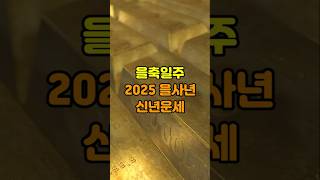 을축일주 2025년 을사년 신년운세 #을축일주 #신년운세 #운세