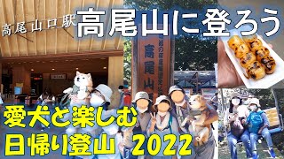 愛犬と高尾山に登ろう！2022