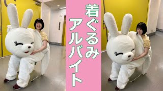 着ぐるみバイト体験報告うさぎワイプつき