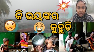 ଆରେ ବାପ୍ ରେ କେଡେ ଜୋର କୁହୁଡି ହୋଇଛି