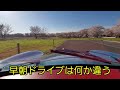 【ポルシェ356】356ライフ！桜日和🌸