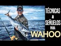 Técnicas y Señuelos para la Pesca de Wahoo