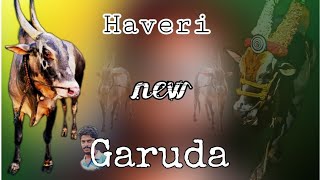 Haveri new GARUDA💯177... 2022 new video mass video 🦅🦅🦅🦅🦅🦅