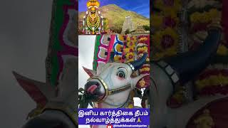 இனிய கார்த்திகை தீபம் நல்வாழ்த்துக்கள் | Karthigai Deepam Wishes