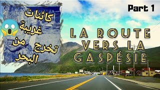 Voyager de Montréal à La Gaspésie - Part 1