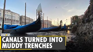 Exceptional low tide leaves canals almost empty in Venice | World | WION News