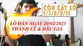 Lô đàn ngày 20/02/2023 | 5 cây Thanh lí từ 1triệu & 6 cây đấu giá đẹp