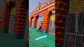 Ye -Circus- Wo "Cirkus" | Dekhoge Nahi To Band Ho Jayenge #shorts #circus #cirkus #bollywood #short