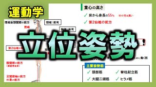 【運動学】立位姿勢（重心・抗重力筋）