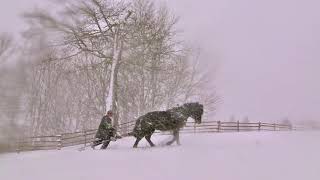 Farming in the 1800's - Ross Farm Museum, Nova Scotia | HOMESTEAD | PIONEER | CANADIAN | FRONTIER