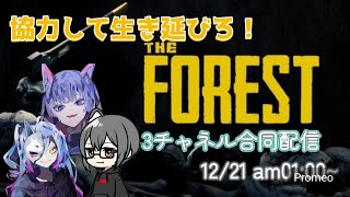 【The Forest】サバイバルやっていく♪　#TheForest　#フォレスト　#game配信