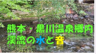 【黒川温泉】【作業用BGM】【自然音】やさしい川の流れと音Nature Sounds - Relaxing Sound of Water 【癒し】