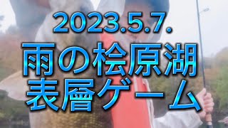 2023.5.7.雨の桧原湖楽しい表層ゲーム！スモールマウスがプリスポーン開始