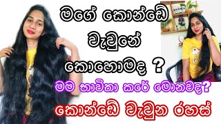 මගේ කොන්ඩෙට මම කරන treatment|my daily hair treatment