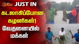 கடலாகிப்போன கழனிகள்! வேதனையில் மக்கள் | Nagapattinam | Agricultural land