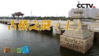 为什么要在海上建造桥梁？跨海大桥又为何千年不倒？它们拥有着哪些建筑智慧？古桥之谜（上）20211023 |《地理·中国》CCTV科教