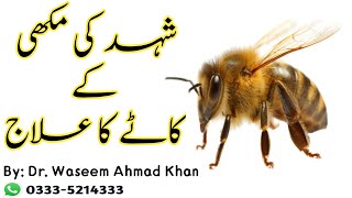 Honey Bee / Wasp | شہد کی مکھی کے کاٹے کا علاج | Wild Life With Dr. Waseem