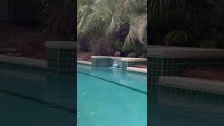 Relaxing Tropical Pool Ambience - Waterfall Sounds - Pool Basketball - Take a Moment to Relax