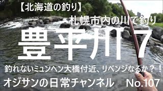 【北海道の川で釣り】　札幌市内の川で釣り　豊平川７　ミュンヘン大橋付近、釣れないからの、リベンジなるか！　No 107