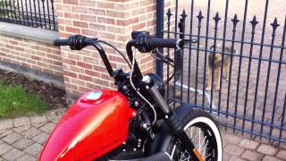 Motogadget m-Blaze Discs on Harley Sportster