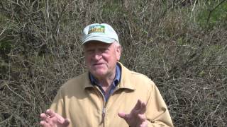 Pointing Dog Training on Grouse \u0026 Woodcock