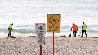 Mysterious grey balls prompt closure of nine Sydney beaches