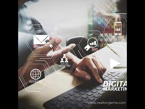 How many types of digital content are there?