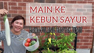 Berkebun di Kanada