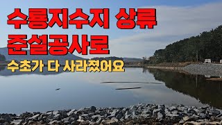 태안 수룡저수지 상류 준설공사로 수초가 다 사라졌어요