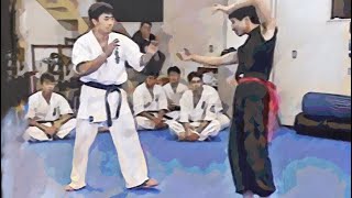 Kyokushin Karate  vs. Chinese martial arts