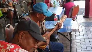 Tahitian Ukulele, Papeete Market, Tahiti