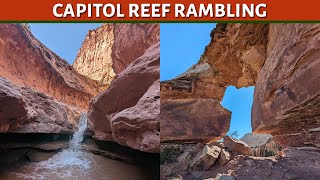 Capitol Reef Rambling | Sulphur Creek to above Spring Canyon