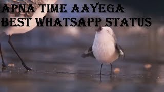 apna time aayega- whatsapp status