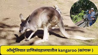 Australia मधील छोटे प्राणिसंग्रहालय |ऑस्ट्रेलिया मध्ये पार्क कसे असतात? | Marathi Vlog in Australia