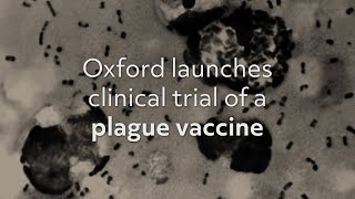 The Black Death today: Oxford launches clinical trial of a plague vaccine