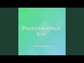 Phantom Heartbeat Echo