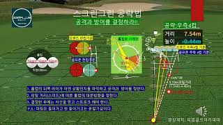 -20언더의퍼팅스킬/골프존/카카오스크린