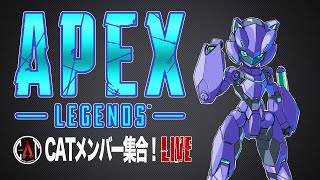 ［LIVE] CATメンバーとAPEX #91